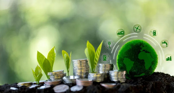 Green Hydrogen Economics